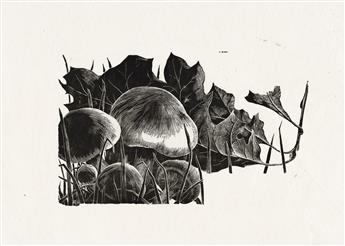 Albee, Grace (1890-1985) Four Wood Engravings: Natural History Subjects.